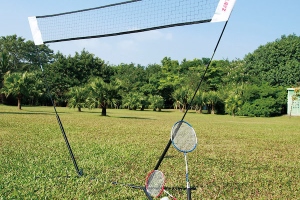 Badminton with a net